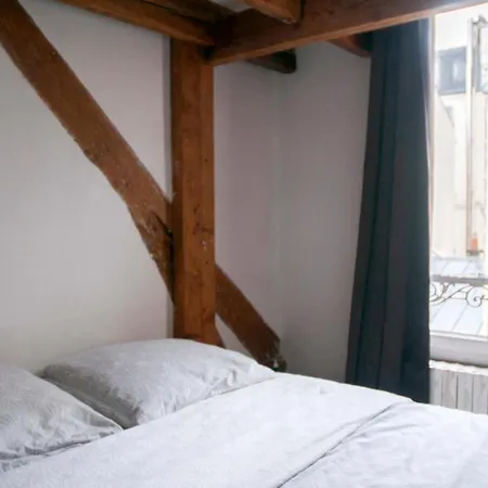 Nice 40 M Bright And Cosy With Wifi In Paris Apartment